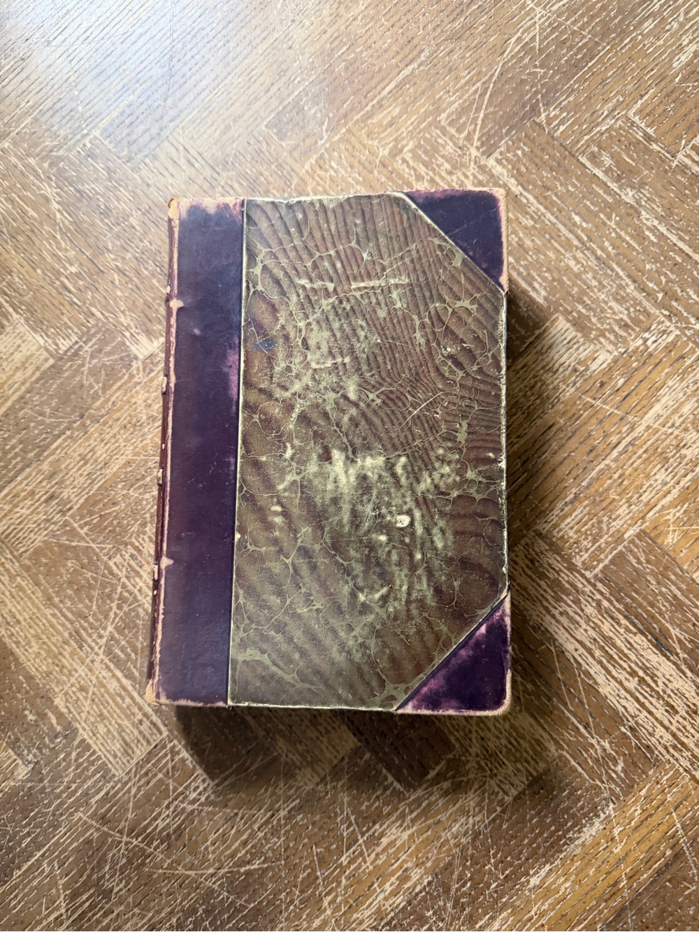 Antique Crown of Wild Olive Lectures on Art Book